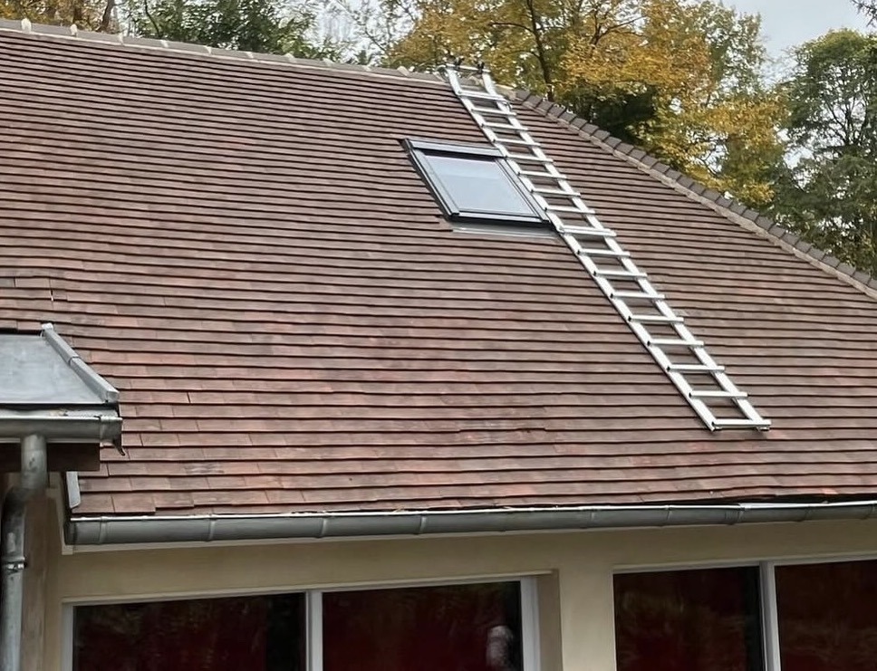 Toitures & Démoussage